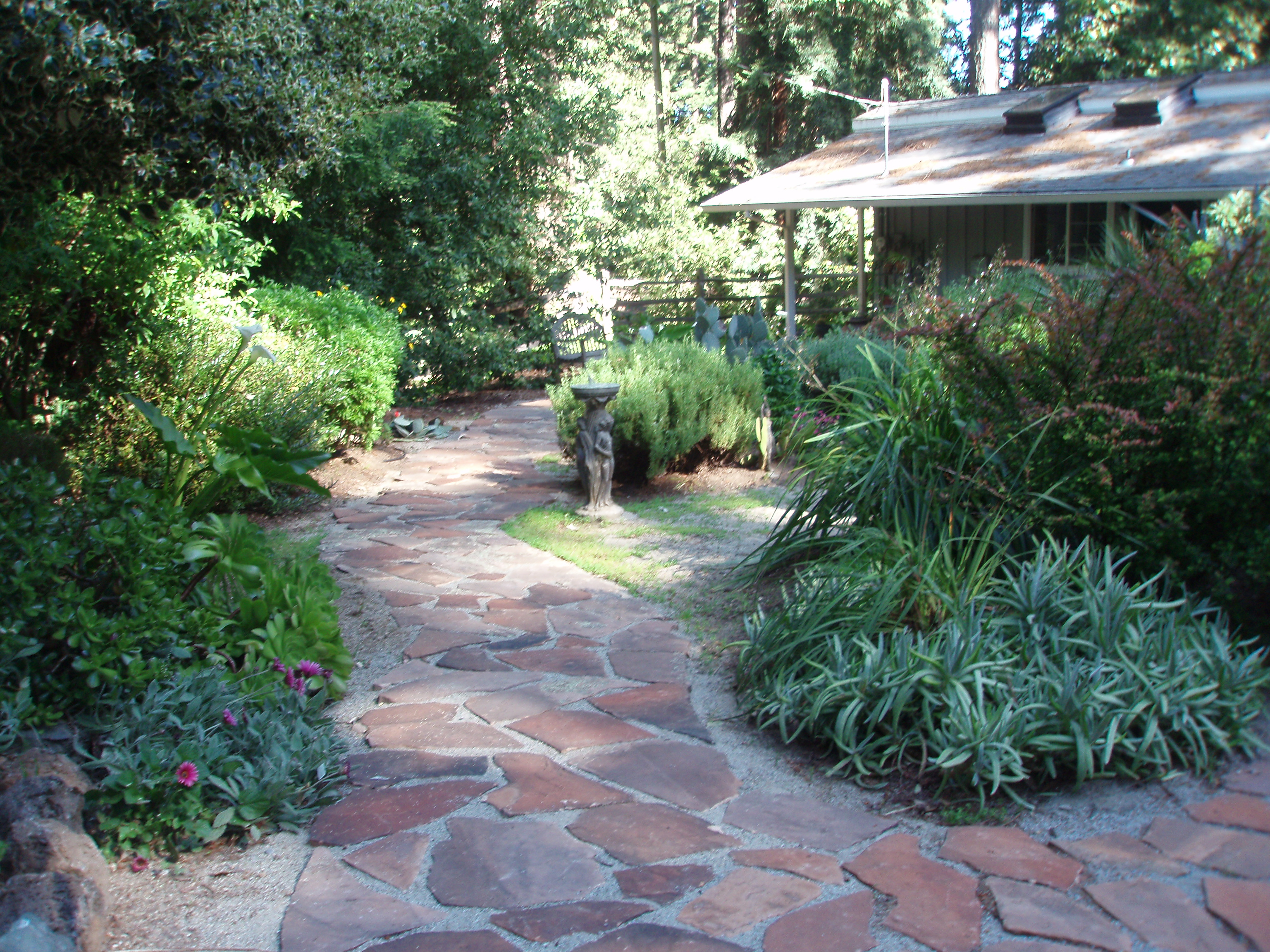 Flagstone paths in Bonny Doon Gardening Tips for the Santa Cruz Mountains