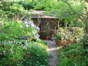 path to shed