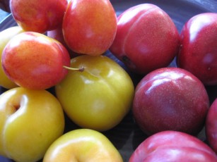 plums
