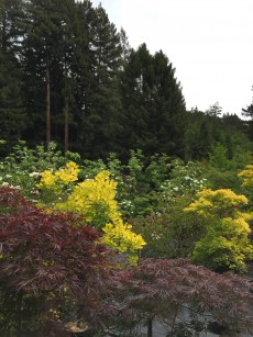 Alluvial_Terrace_wholesale_nursery
