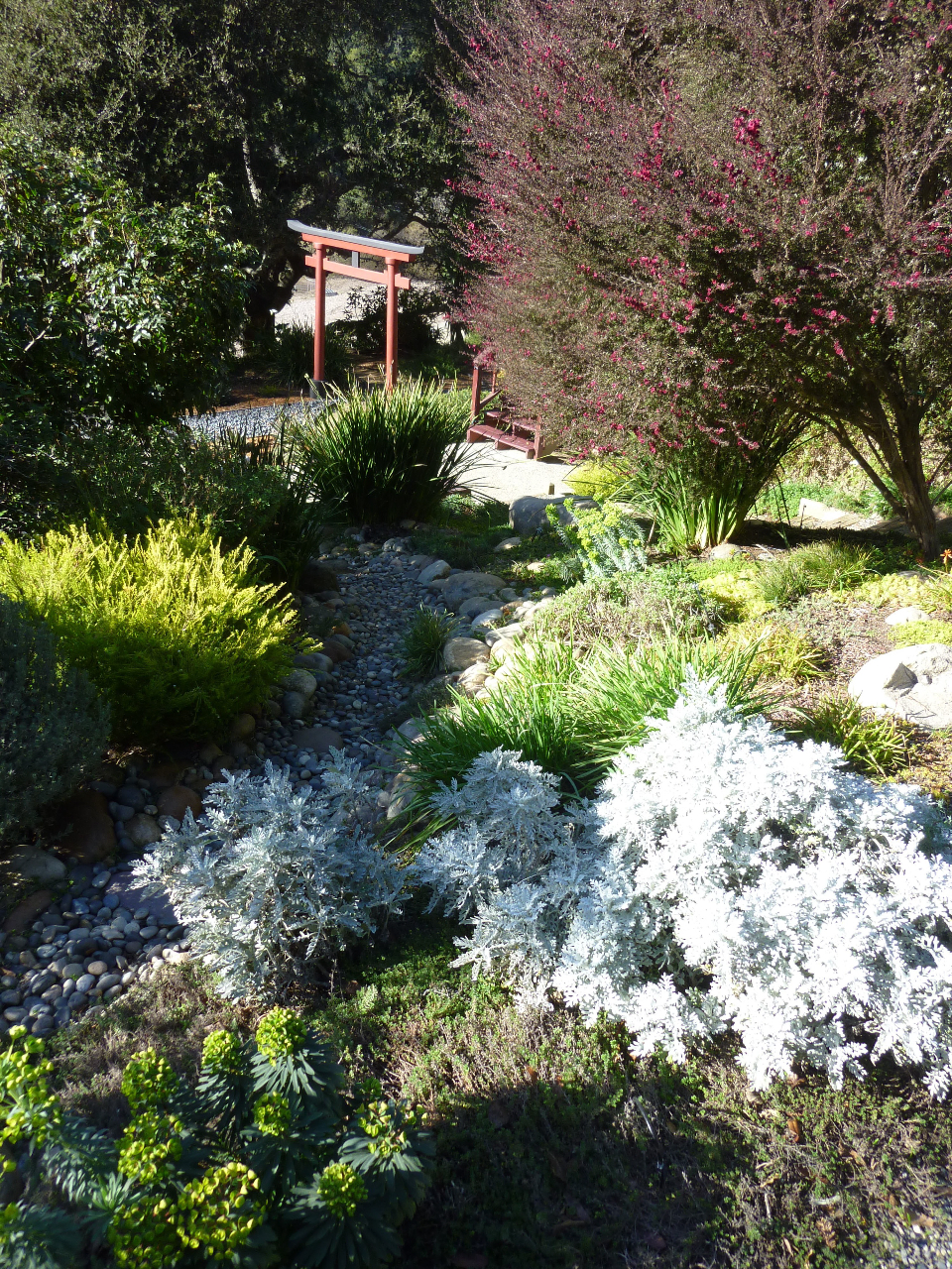 erosion control | Gardening Tips for the Santa Cruz Mountains