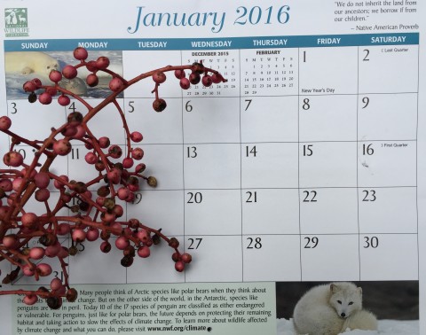 New Years calendar