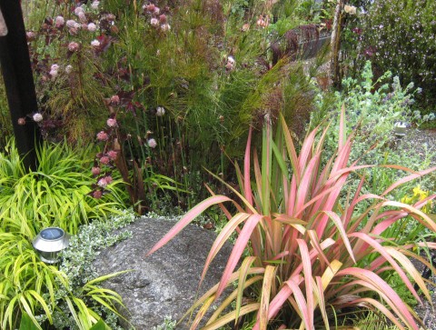 Vignette composed of Summer Wine physocarpus, Phormium ‘Jester’, Elegia capensis, and Japanese Forest Grass