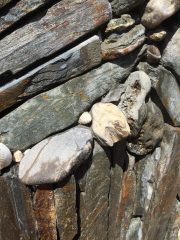 eel_head_rock.1600