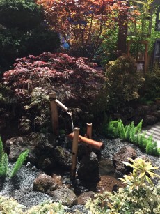 water_fountain_deer-scare.1600