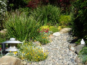 robby_frank_garden1