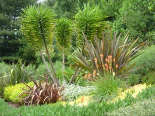 robby_frank_garden2