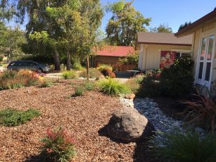 sheet_mulch_install