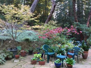 fall_color_my_patio