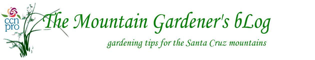 Gardening Tips for the Santa Cruz Mountains
