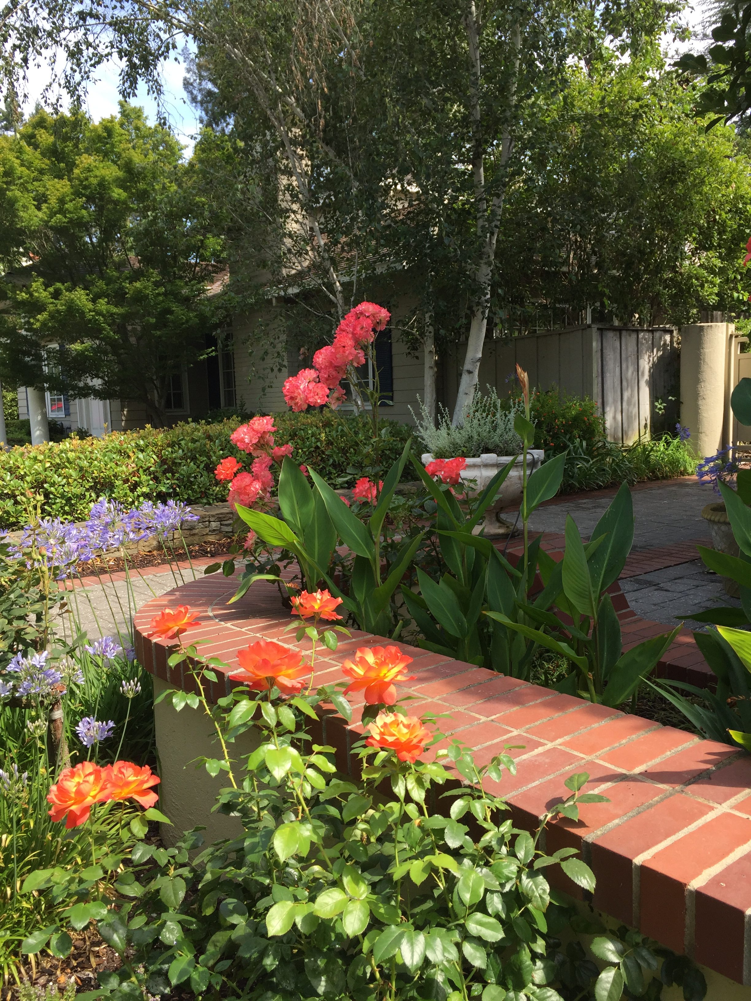 Adding Color To The Garden Gardening Tips For The Santa Cruz