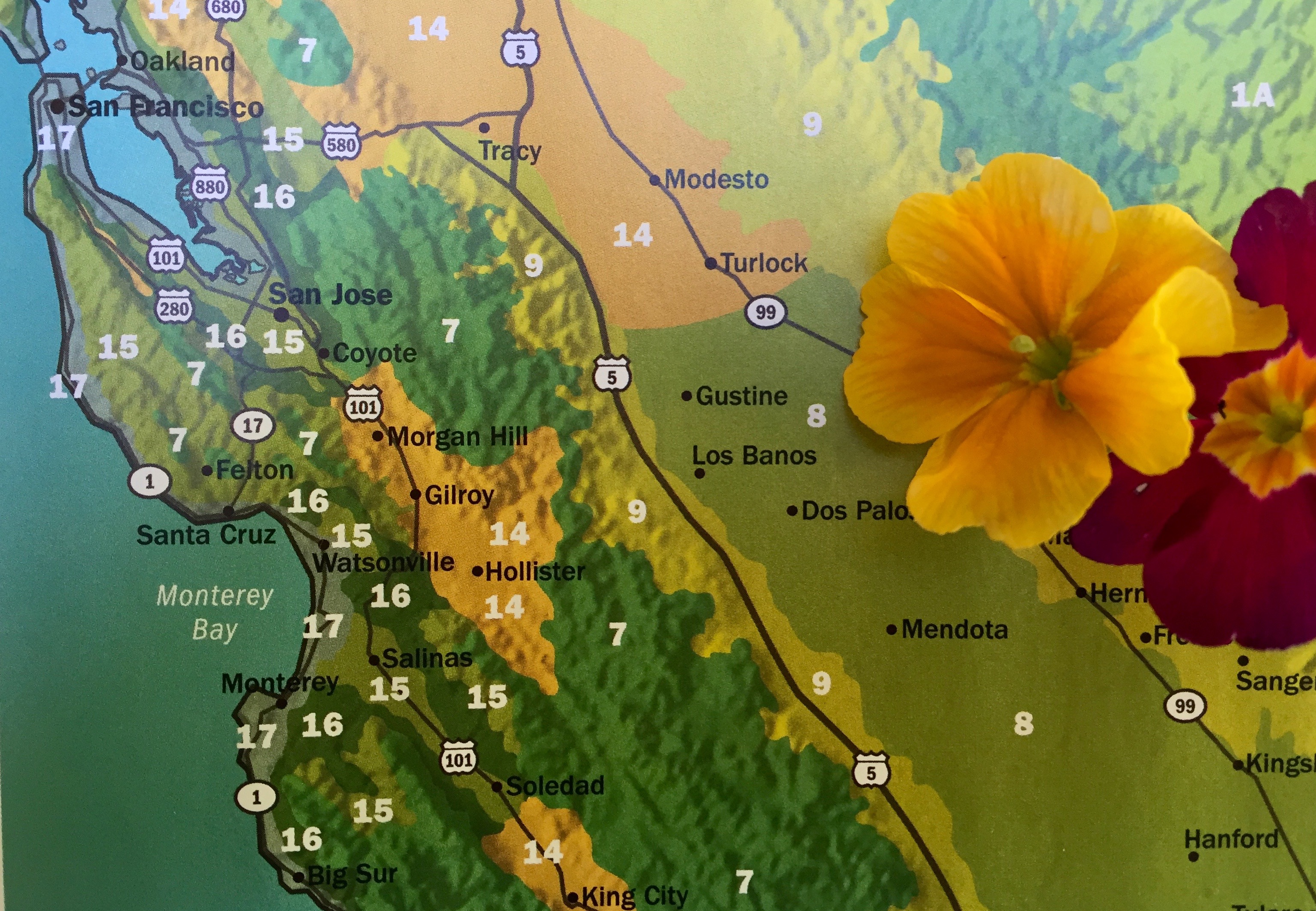 zones sunset climate zone santa gardening cruz map mountains tips wordpress