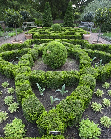 find in an herb garden as find in an herb garden as